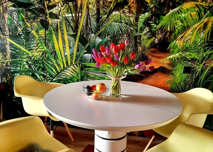 Funny Jungle Ferienwohnung Im Hahnenklee