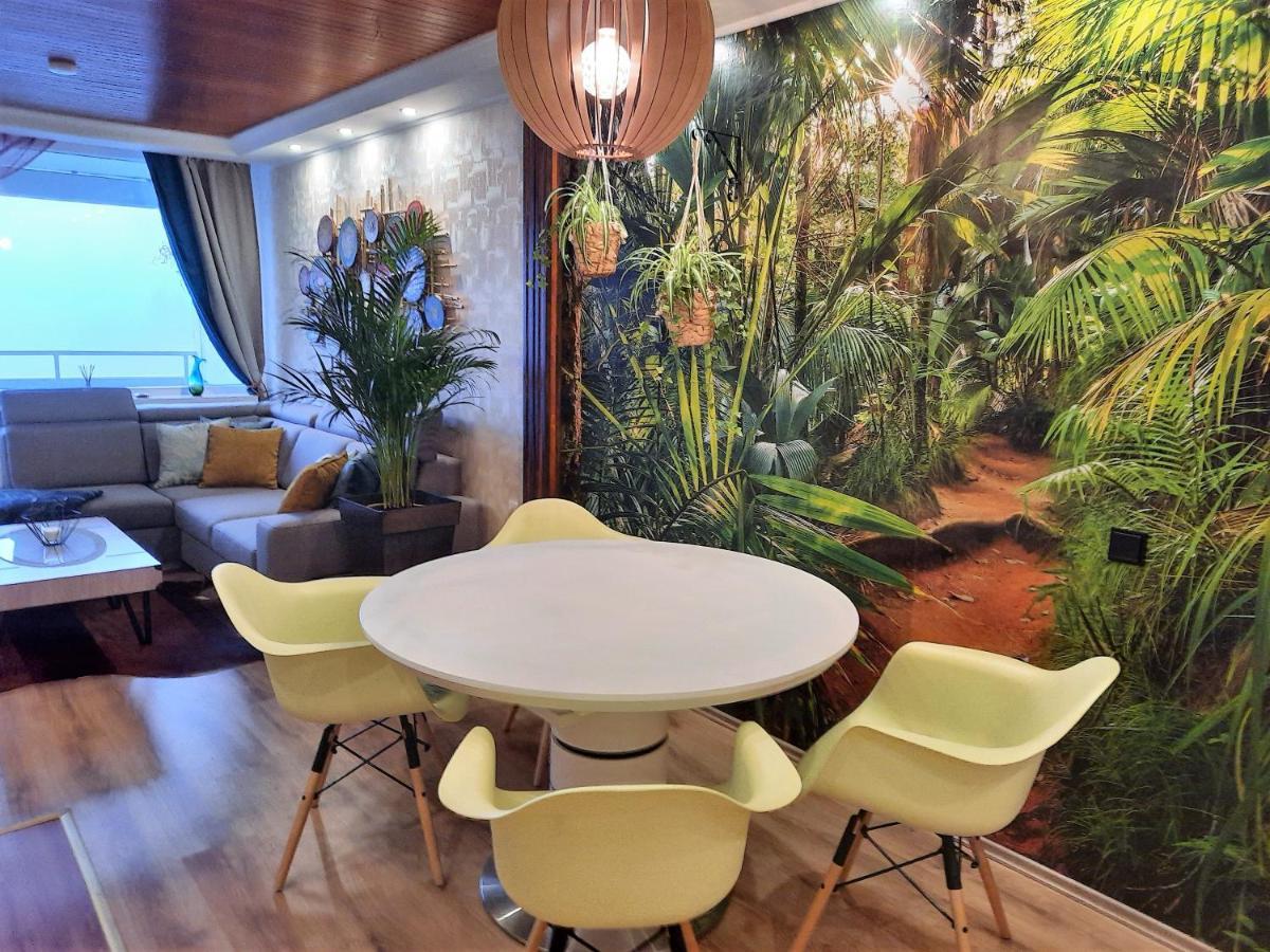 Appartement Funny Jungle Im Hahnenklee Goslar