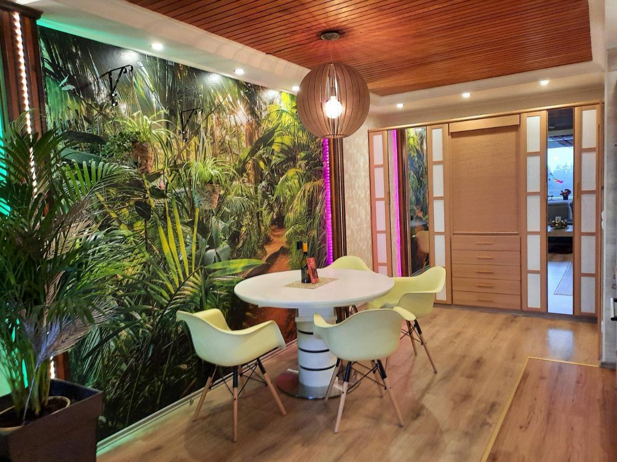 Apartment Funny Jungle Im Hahnenklee