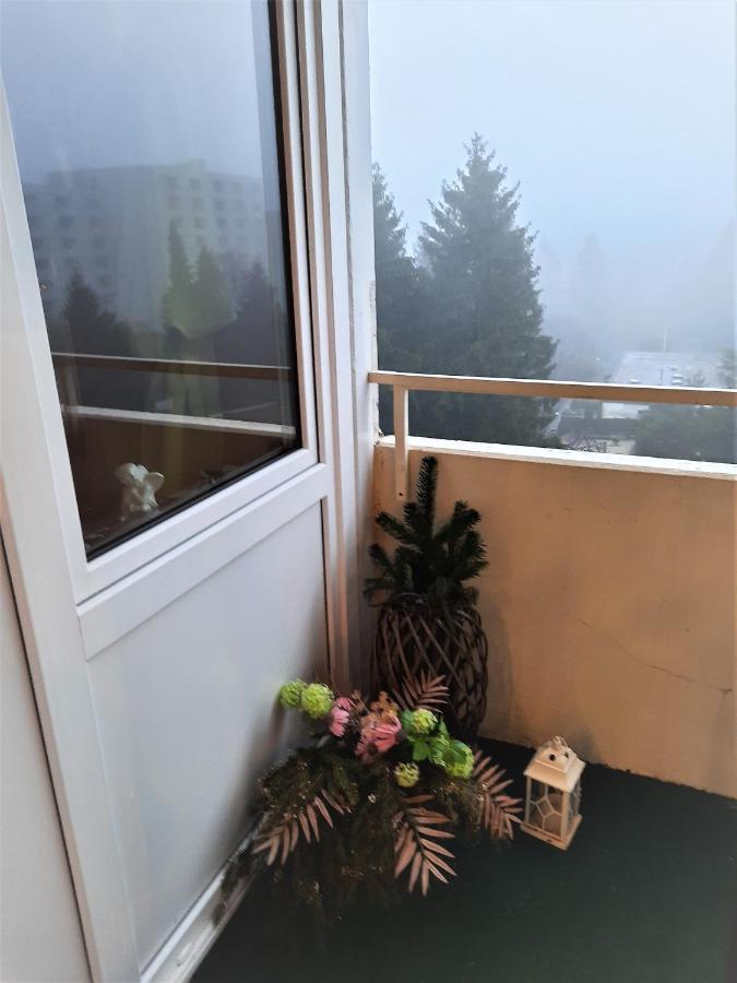 Apartment Funny Jungle Im Hahnenklee *