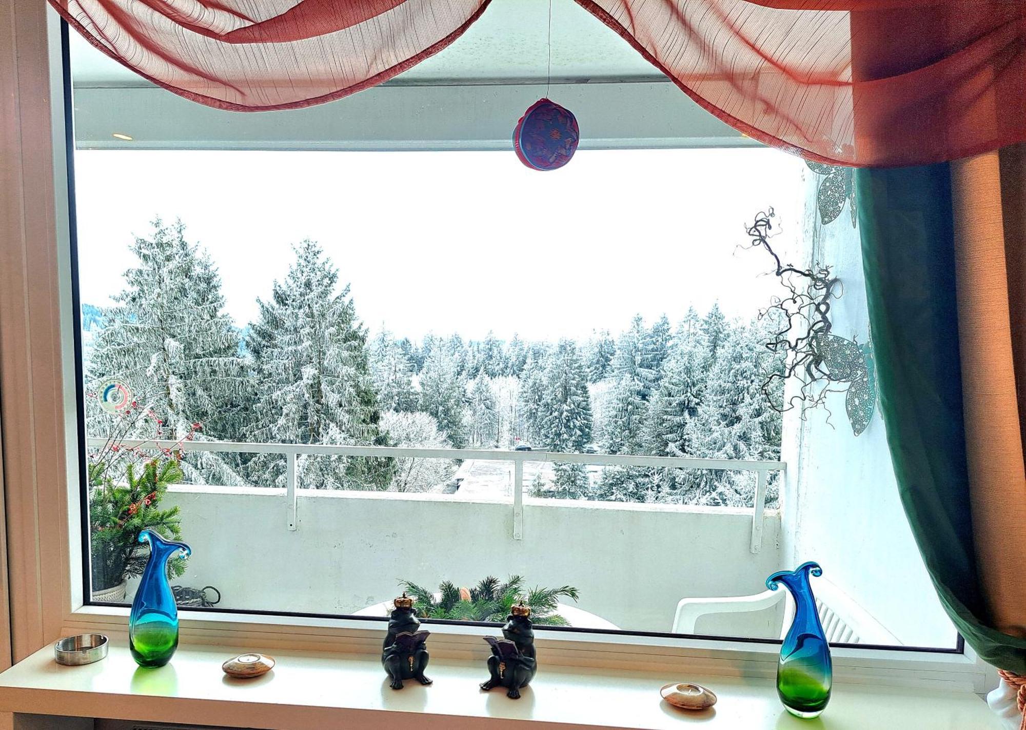 Appartement Funny Jungle Im Hahnenklee