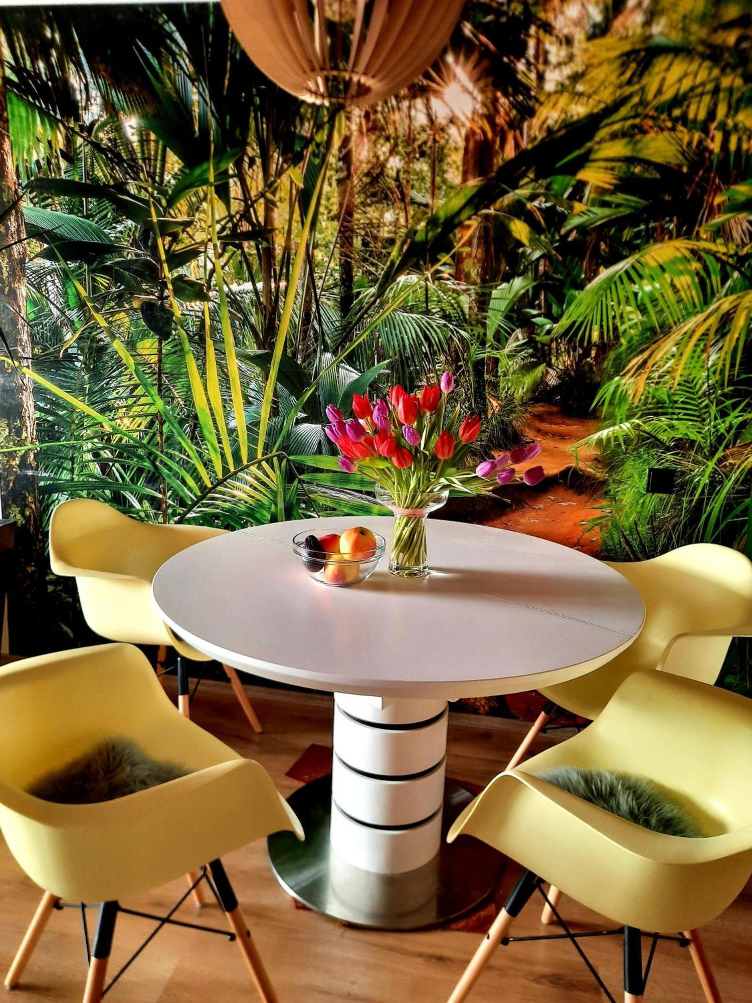 Funny Jungle Im Hahnenklee Appartement Goslar
